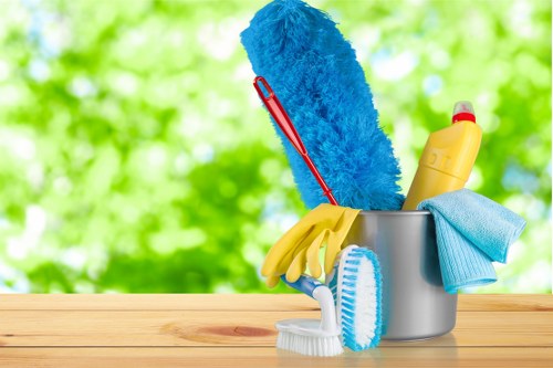 Window cleaning service for Kensington homes and period properties