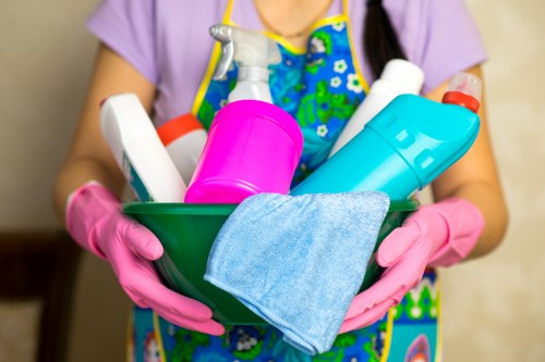 Deep cleaning treatment for pet urine stains in a Kensington home