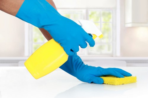 Delicate rug inspection and stain treatment in Kensington