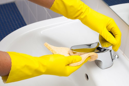 Cleaning issue details being discussed for a service resolution