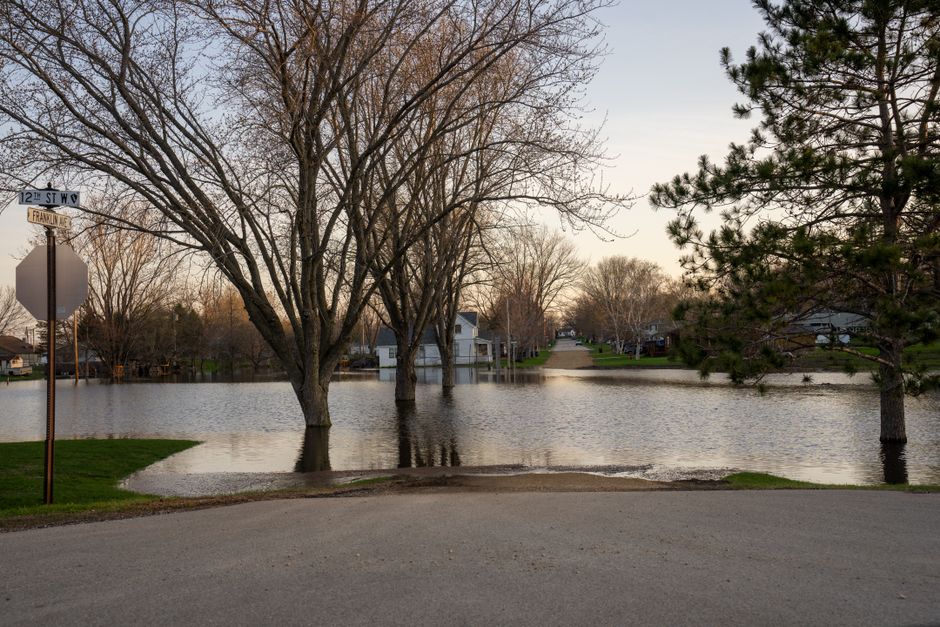 A residential area with a flooded street, where the water has risen close to the sidewalk and partially submerges the base of several leafless trees and low fences. The scene is taken during daylight,